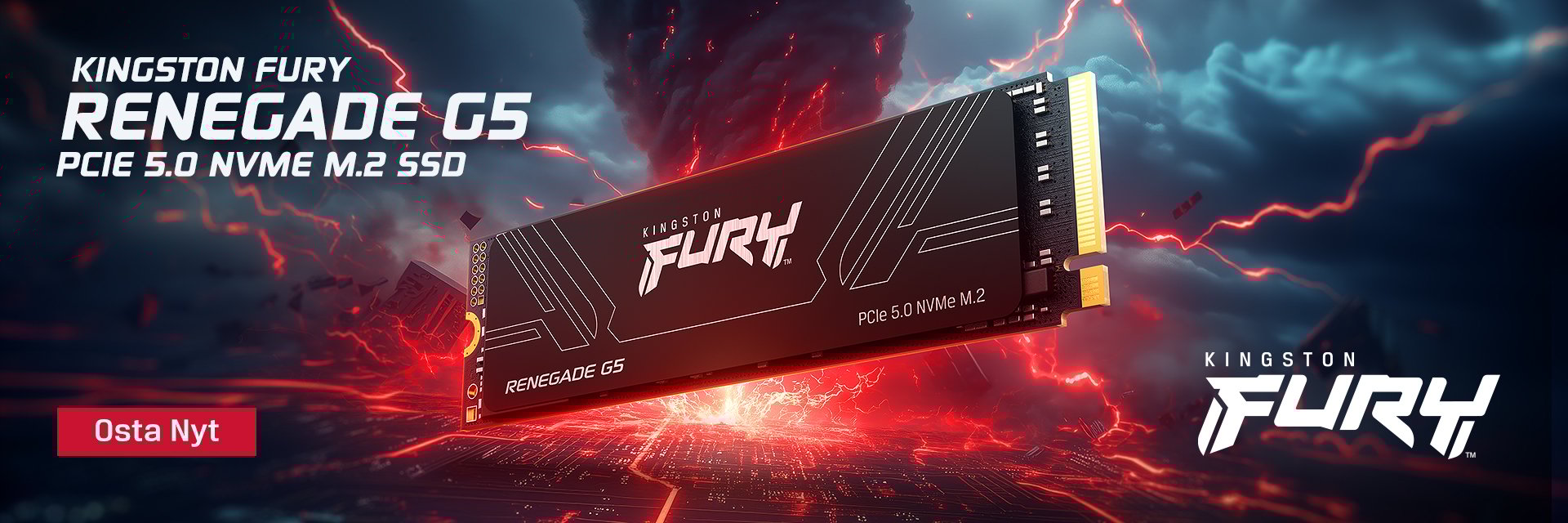 Kingston Fury G5