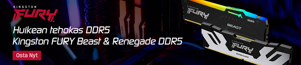 Kingston Beast or Renegade