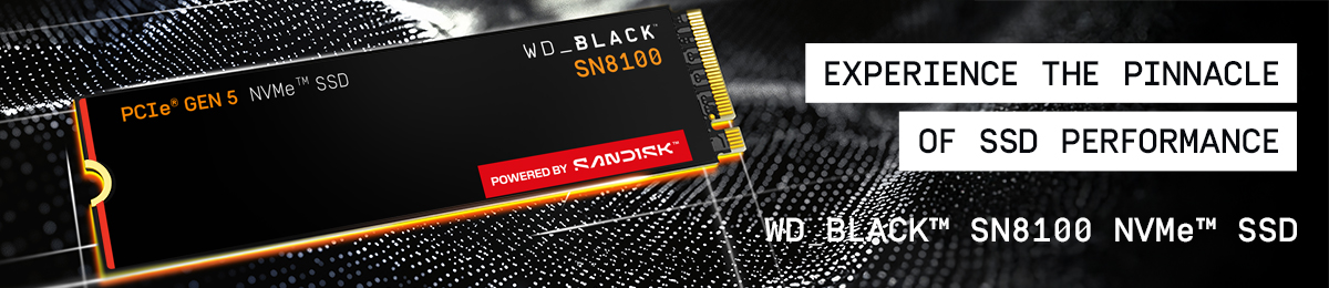 Sandisk SN8100